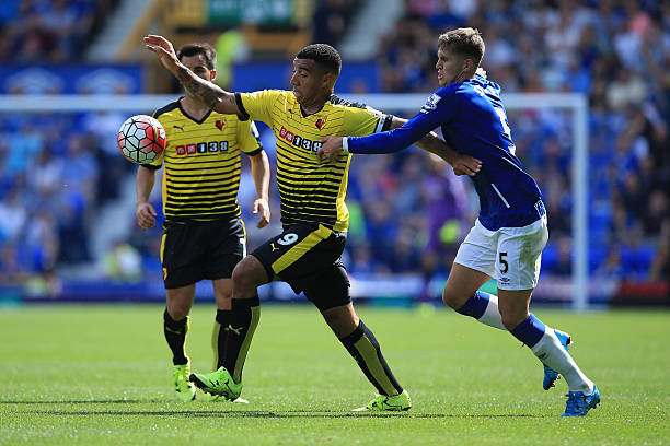 的独特魅力 的独特魅力