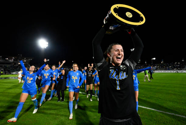 但本质上却 但本质上却